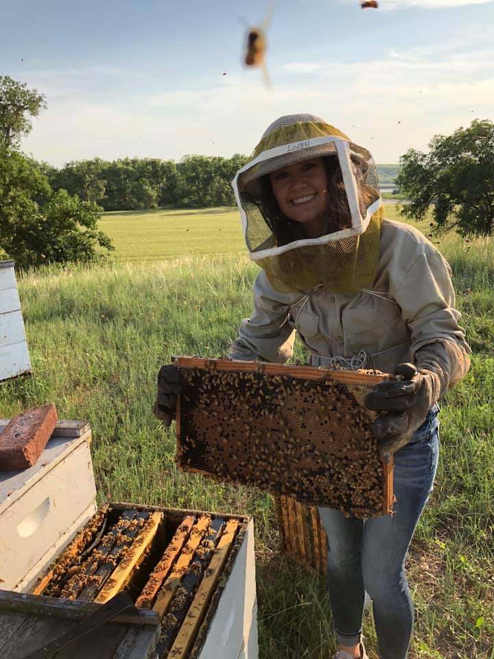 Rheanna Pederson pulling a frame from a bee hive.
